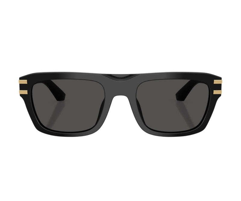 Dolce & Gabbana_Sunglasses_4496_501/87_54_0
