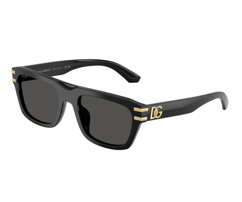 Dolce & Gabbana_Sunglasses_4496_501/87_54_3045