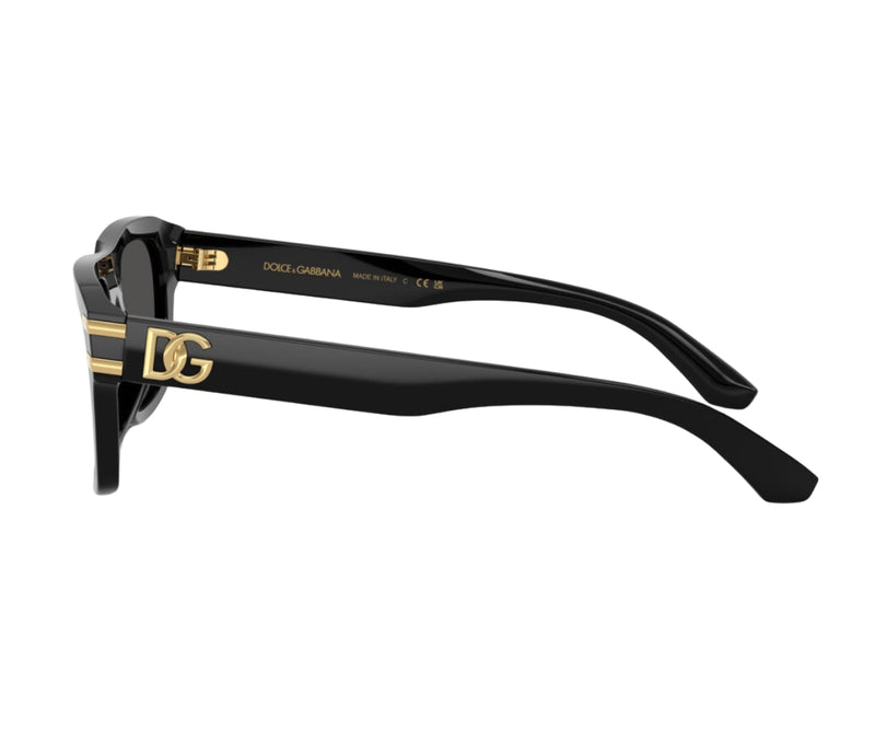 Dolce & Gabbana_Sunglasses_4496_501/87_54_90