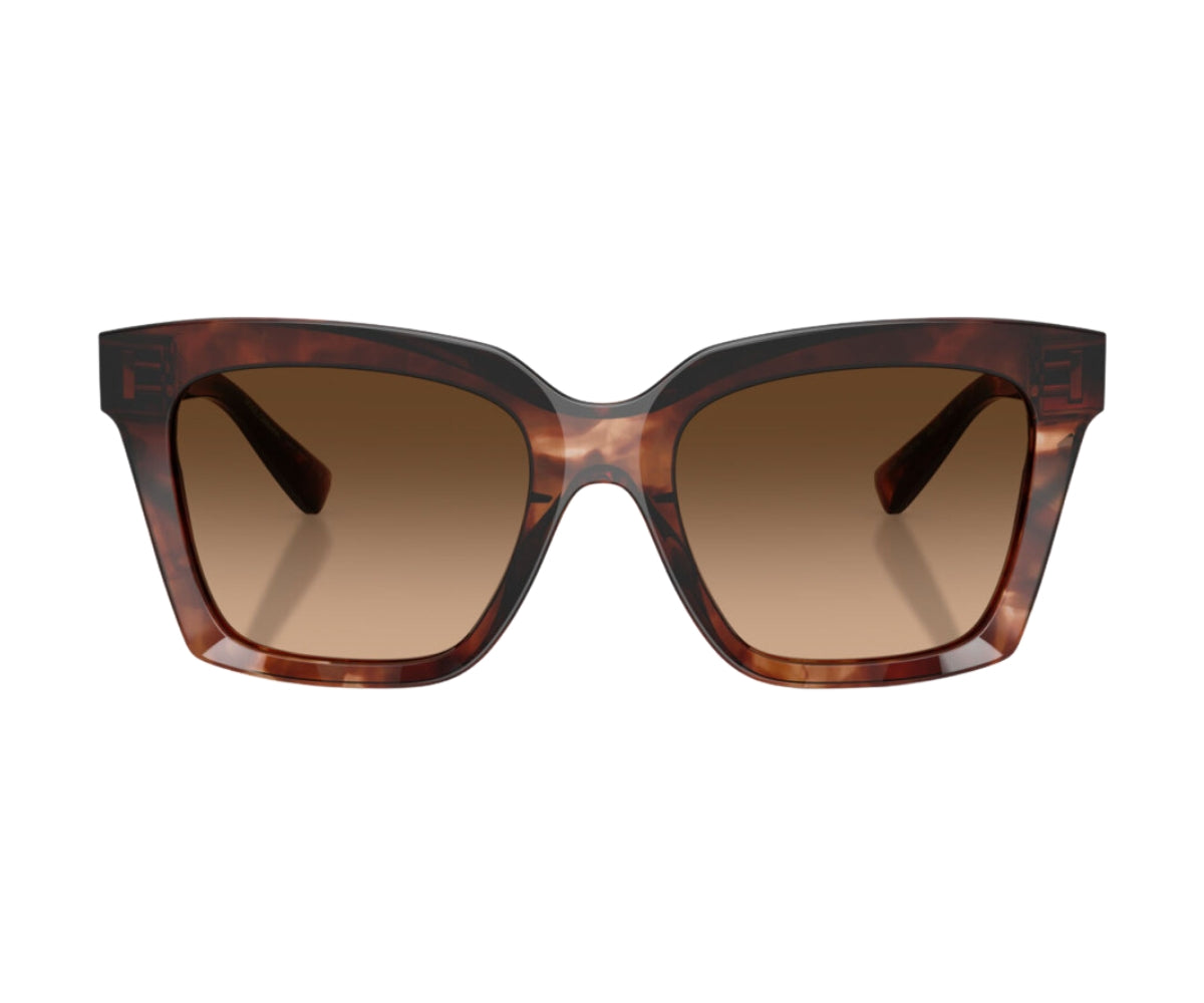 Buy Dolce & Gabbana Sunglasses 4498 3222/74 55 | GEM OPTICIANS