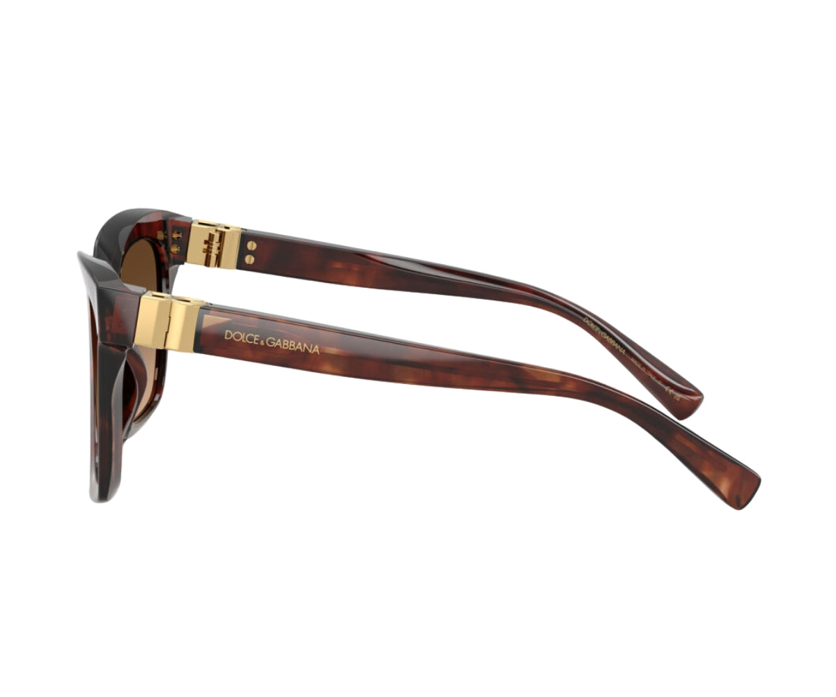 Buy Dolce & Gabbana Sunglasses 4498 3222/74 55 | GEM OPTICIANS