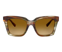 Dolce & Gabbana_Sunglasses_4498_3446/2L_55_0 view 2