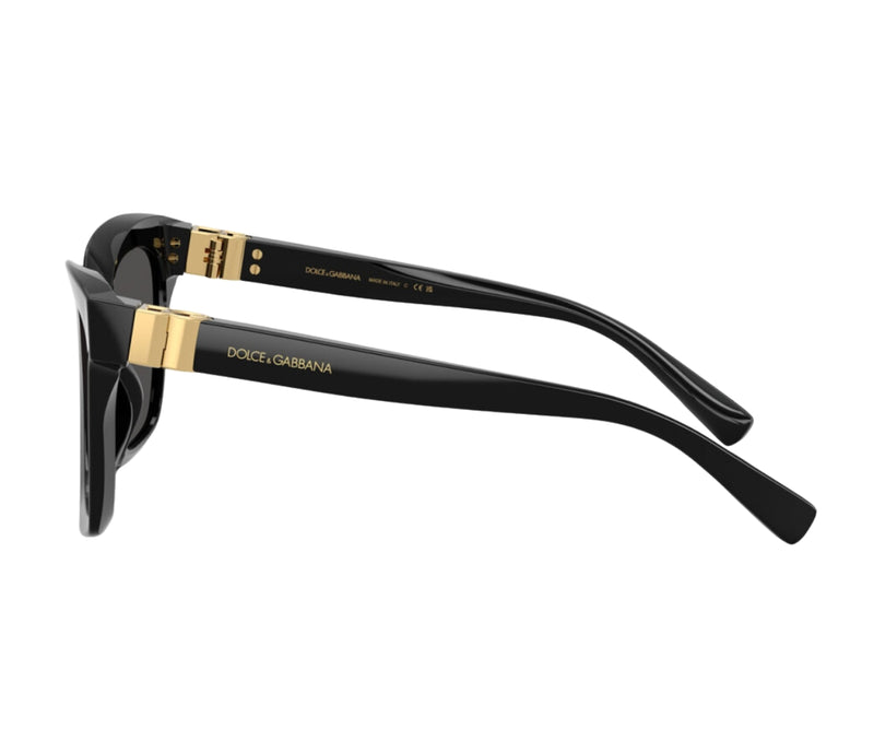 Dolce & Gabbana_Sunglasses_4498_501/87_55_90