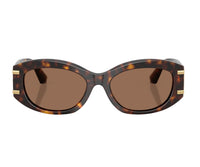 Dolce & Gabbana_Sunglasses_4502_502/73_55_0 view 2