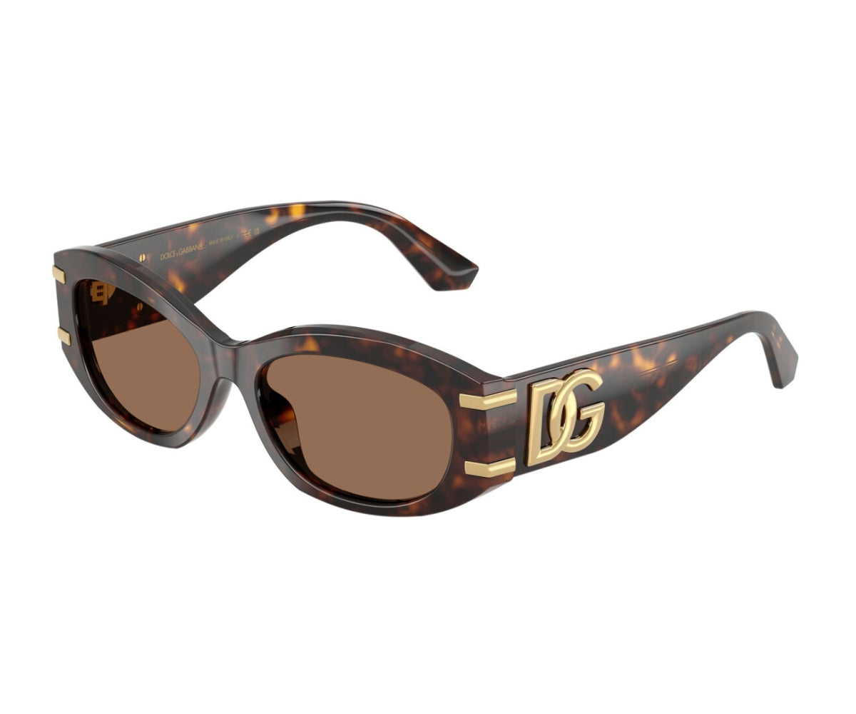 Dolce & Gabbana_Sunglasses_4502_502/73_55_3045