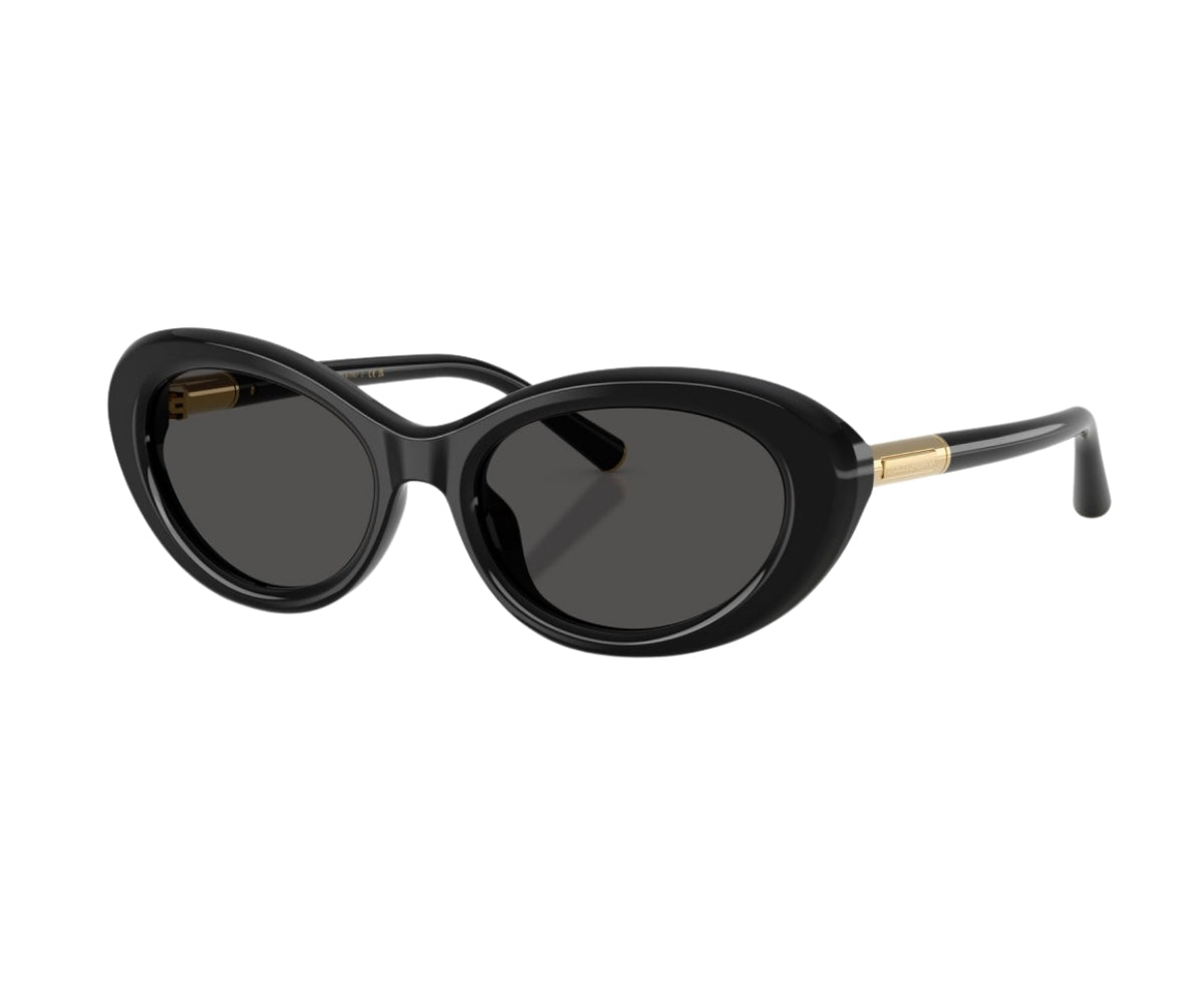 Dolce & Gabbana_Sunglasses_4519_501/87_54_3045