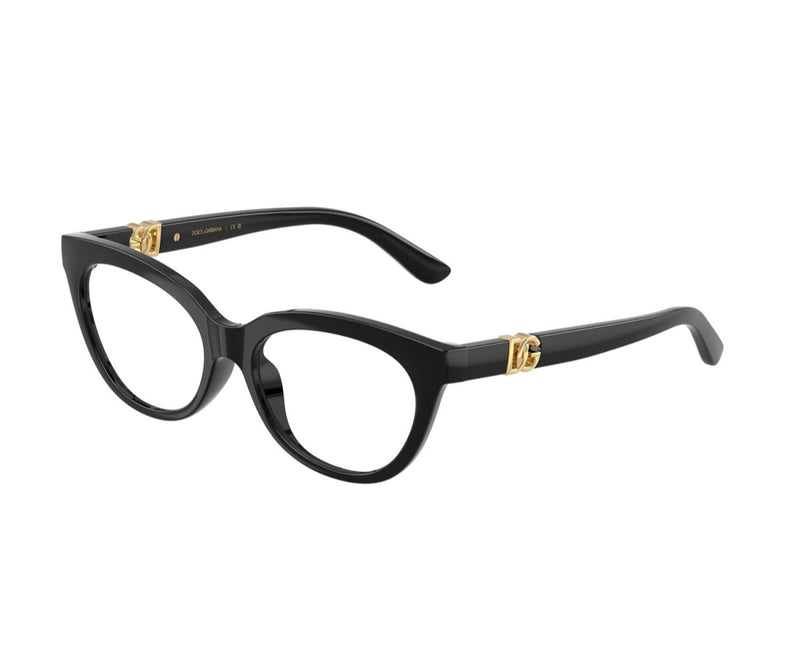 Dolce & Gabbana_Glasses_5005U_501_48_3045