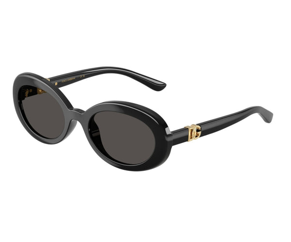 Dolce & Gabbana_Sunglasses_6007U_501/87_49_3045