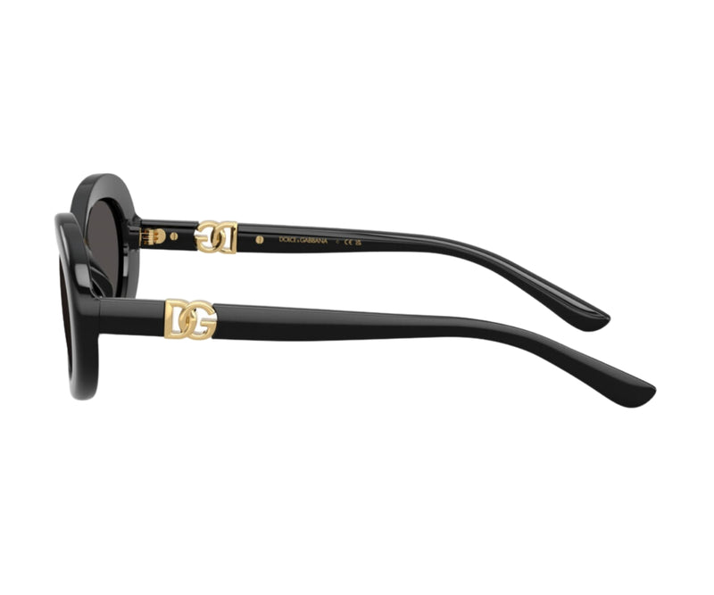 Dolce & Gabbana_Sunglasses_6007U_501/87_49_90