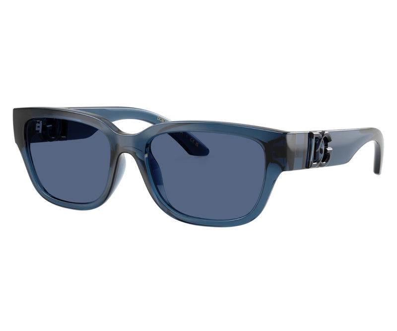 Dolce & Gabbana_Sunglasses_6009_3009/80_50_3045
