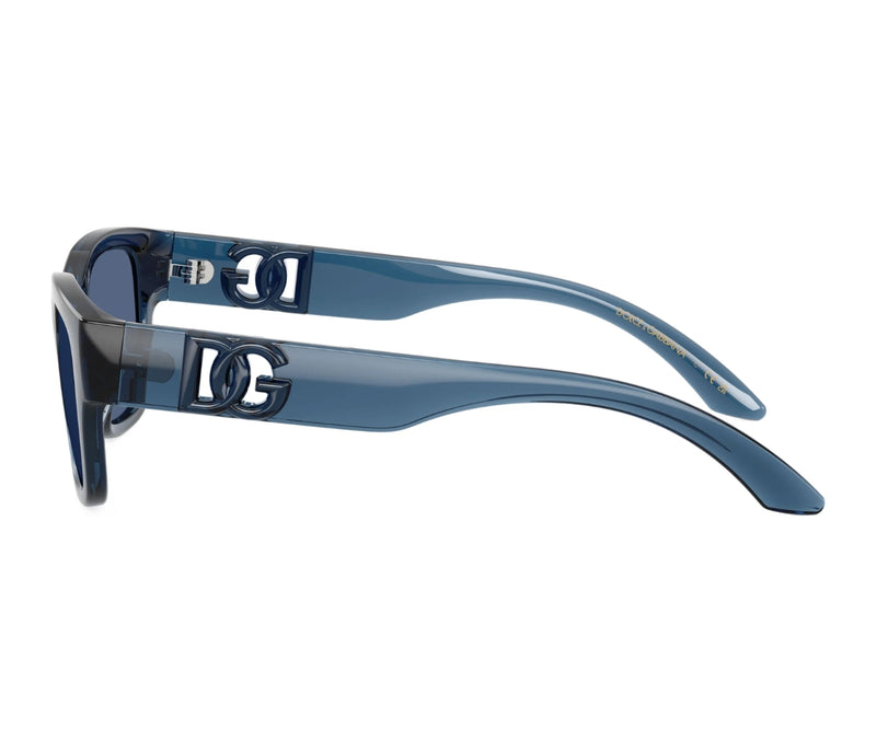 Dolce & Gabbana_Sunglasses_6009_3009/80_50_90