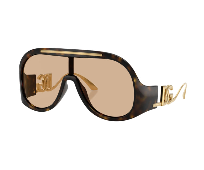 Dolce & Gabbana_Sunglasses_6202_502/93_28_3045