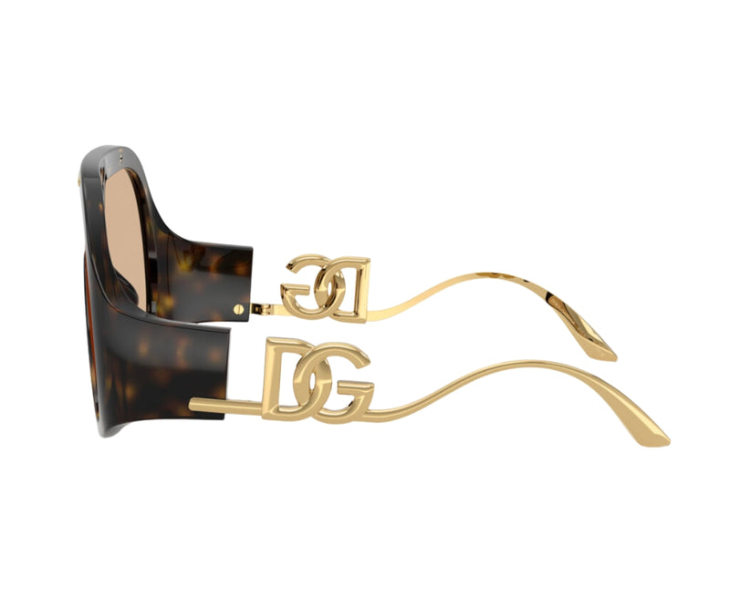 Dolce & Gabbana_Sunglasses_6202_502/93_28_90