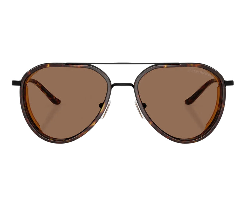Emporio Armani_Sunglasses_2163_3001/73_56_0
