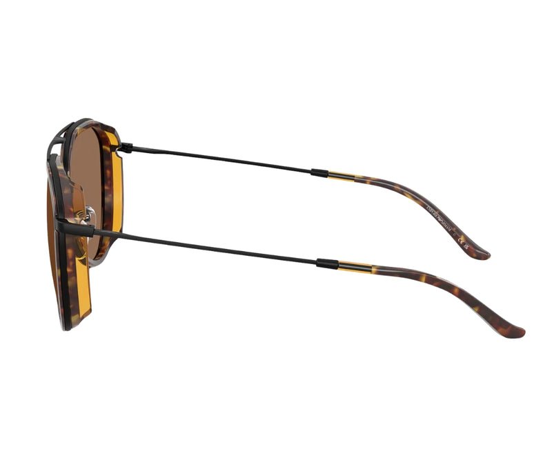 Emporio Armani_Sunglasses_2163_3001/73_56_90