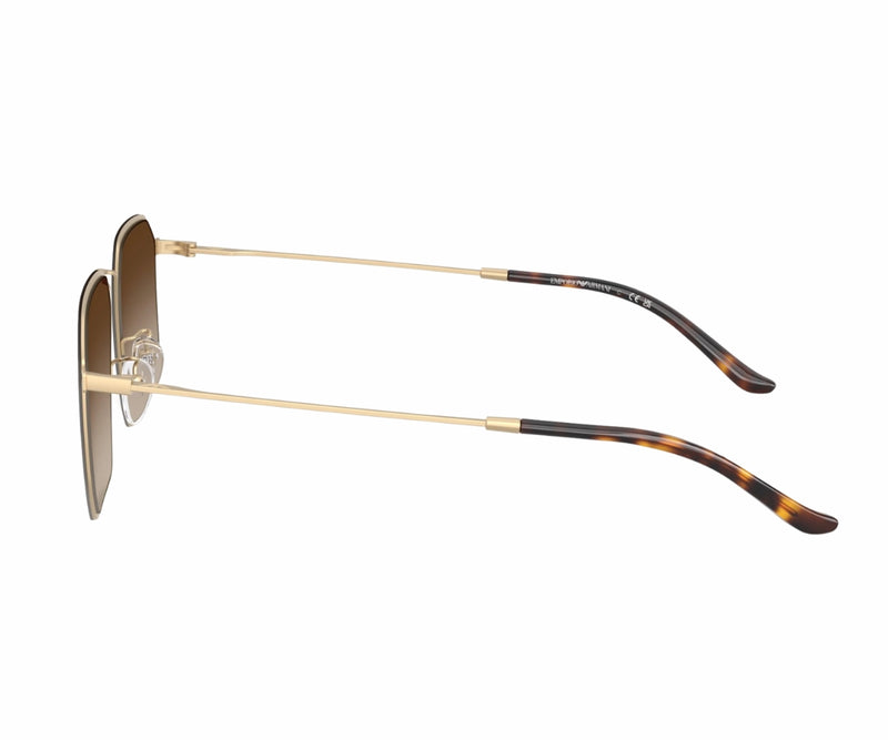 Emporio Armani_Sunglasses_2165D_3002/13_58_90