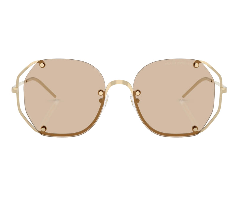 Emporio Armani_Sunglasses_2168_3013/93_54_0