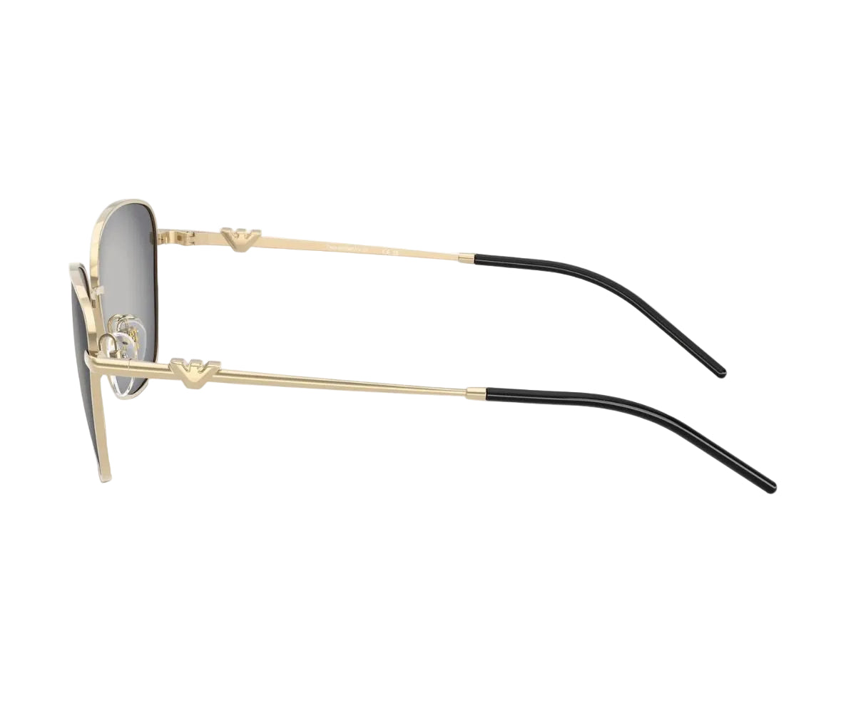 Emporio Armani_Sunglasses_2170_3013/8G_57_90