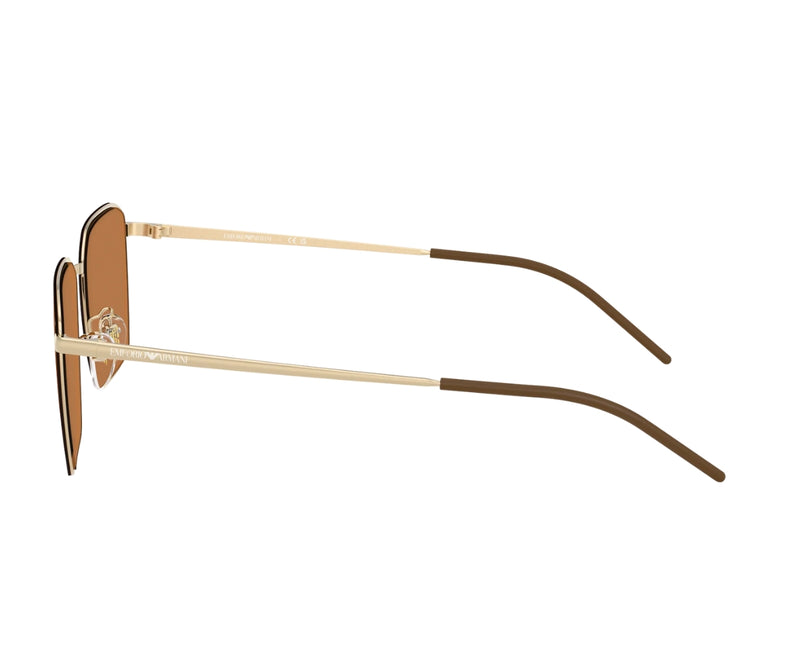 Emporio Armani_Sunglasses_2172D_3013/73_60_90