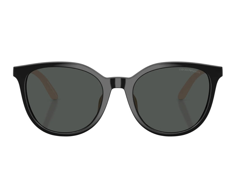 Emporio Armani_Sunglasses_4007U_5017/87_49_0