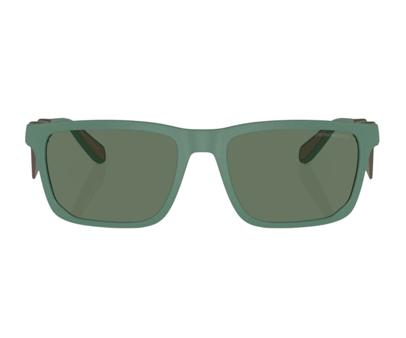 Emporio Armani_Sunglasses_4219_6102/76_57_0