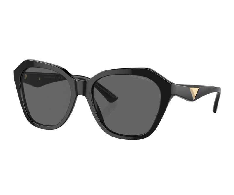 Emporio Armani_Sunglasses_4221F_5017/87_56_3045