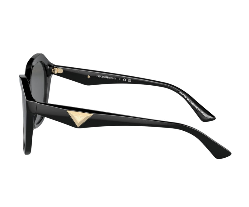 Emporio Armani_Sunglasses_4221F_5017/87_56_90