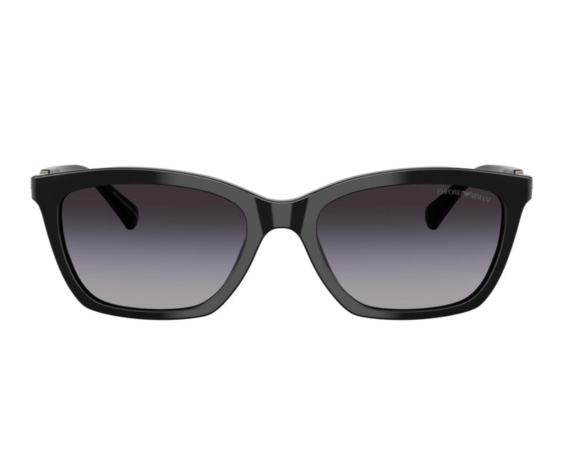 Emporio Armani_Sunglasses_4238_5017/8G_54_0