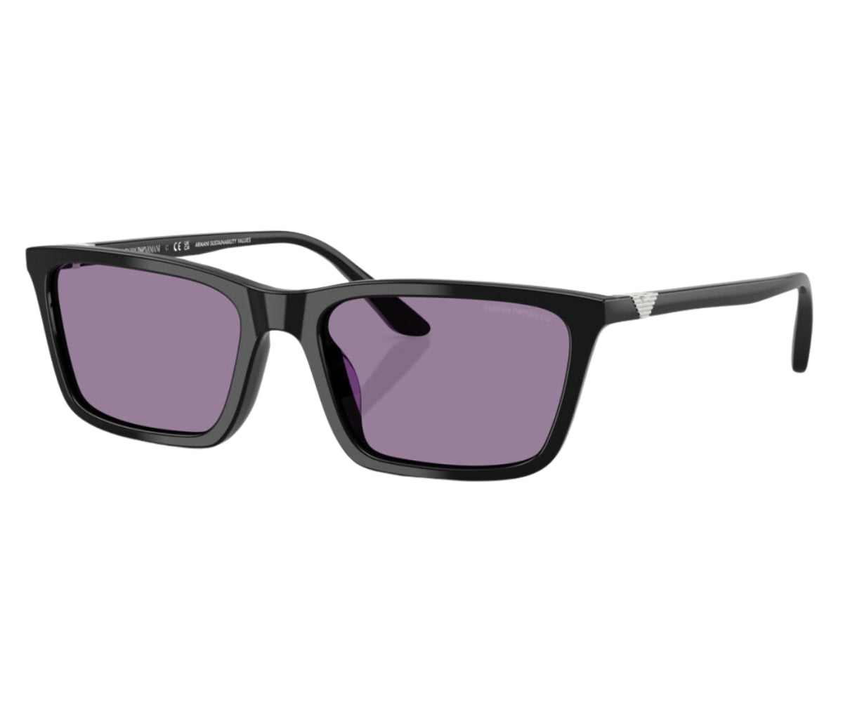 Emporio Armani_Sunglasses_4239U_5017/69_55_3045