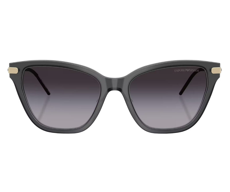 Emporio Armani_Sunglasses_4251_6262/8G_54_0