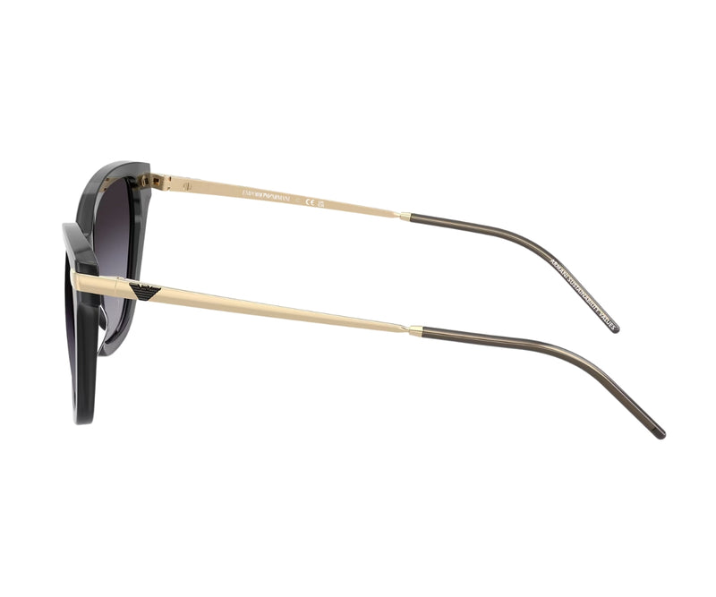 Emporio Armani_Sunglasses_4251_6262/8G_54_90