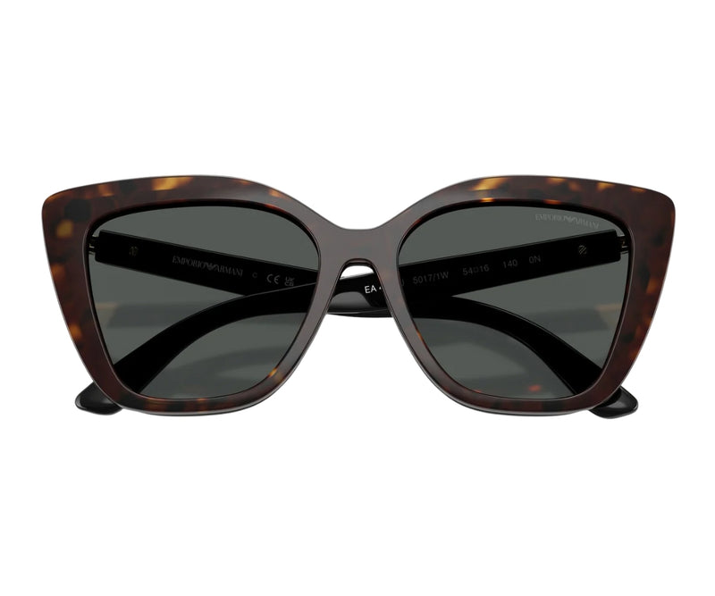 Emporio Armani_Sunglasses_4254U_5017/1W CLIP ON_52_with clip on