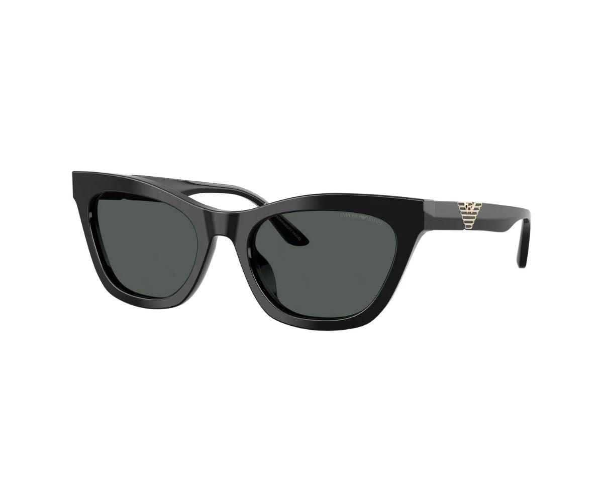 Emporio Armani_Sunglasses_4259U_5017/87_55_45