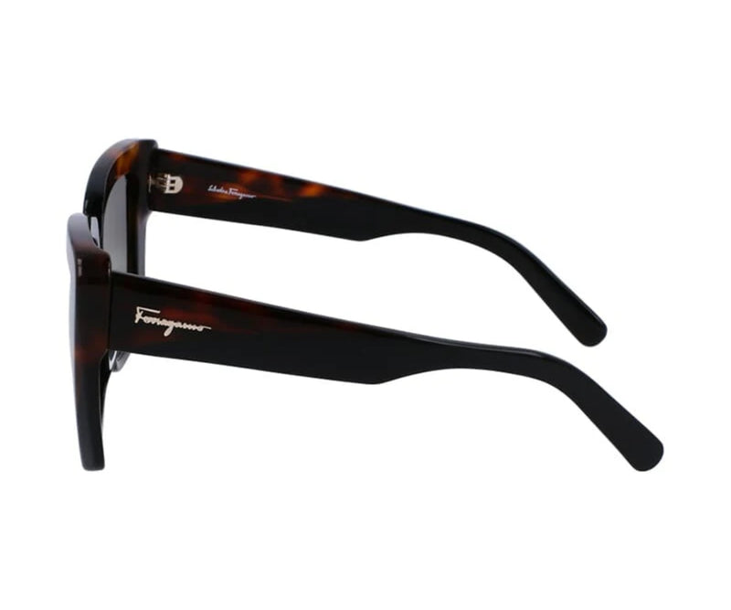 Ferragamo_Sunglasses_1060_006_55_90