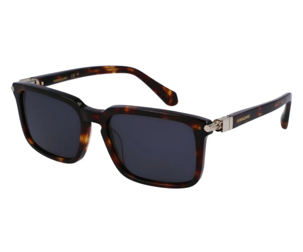 Ferragamo_Sunglasses_1110S_242_56_45