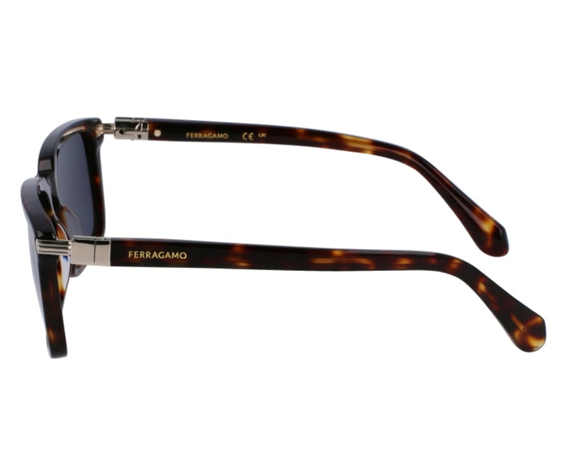 Ferragamo_Sunglasses_1110S_242_56_90