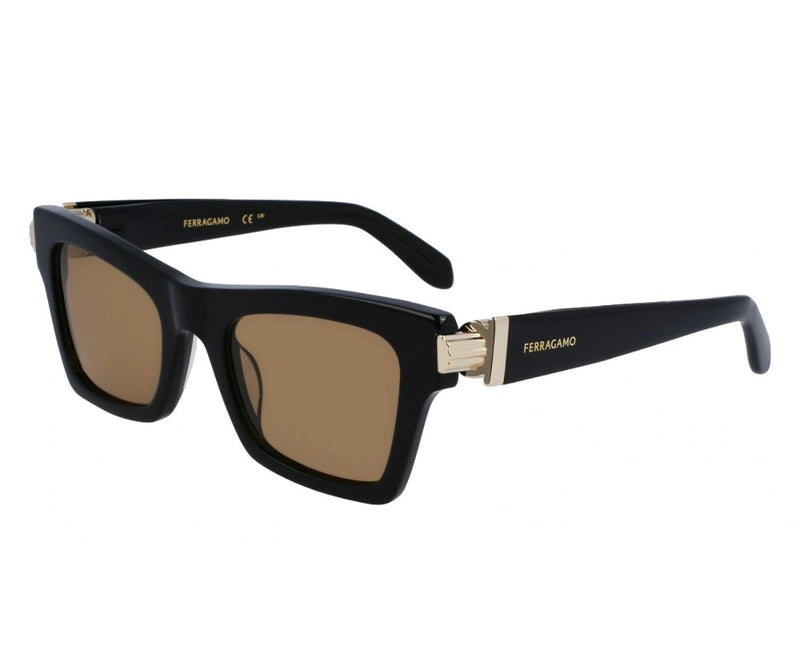 Ferragamo_Sunglasses_2013_011_52_3045