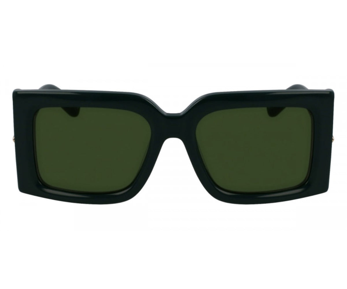 Ferragamo_Sunglasses_2032_302_55_0