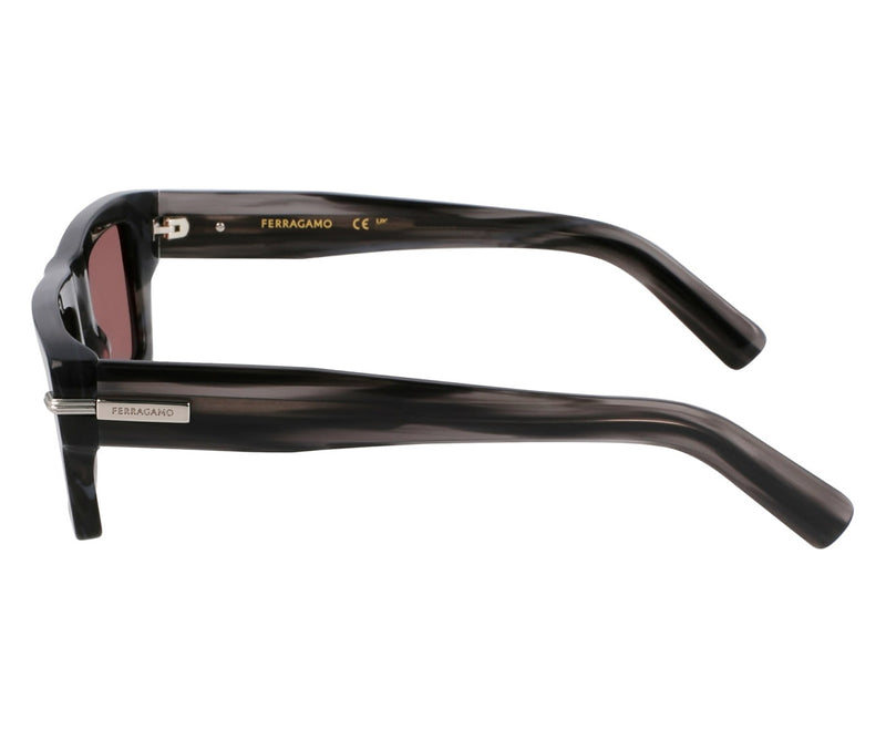 Ferragamo_Sunglasses_2034_014_50_90