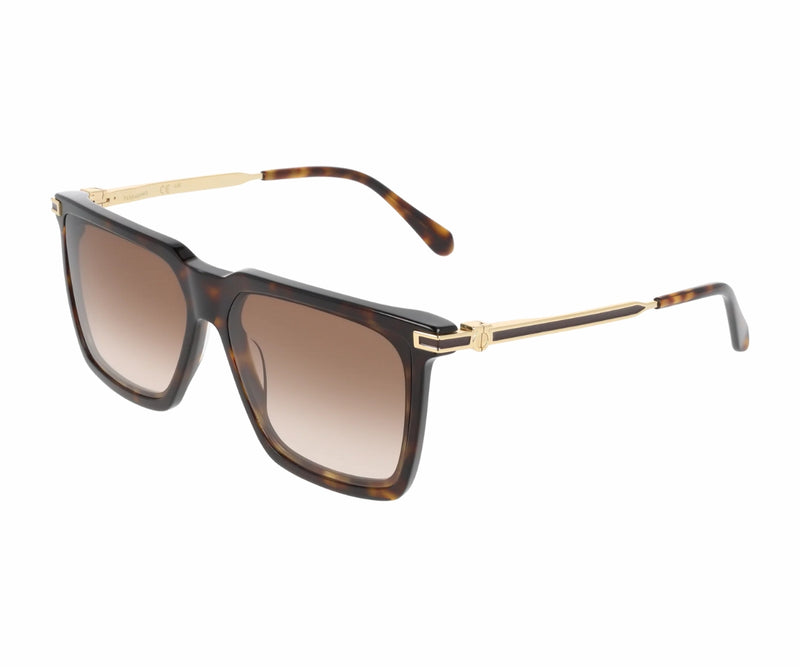 Ferragamo_Sunglasses_2077SLBI_242_59_3045