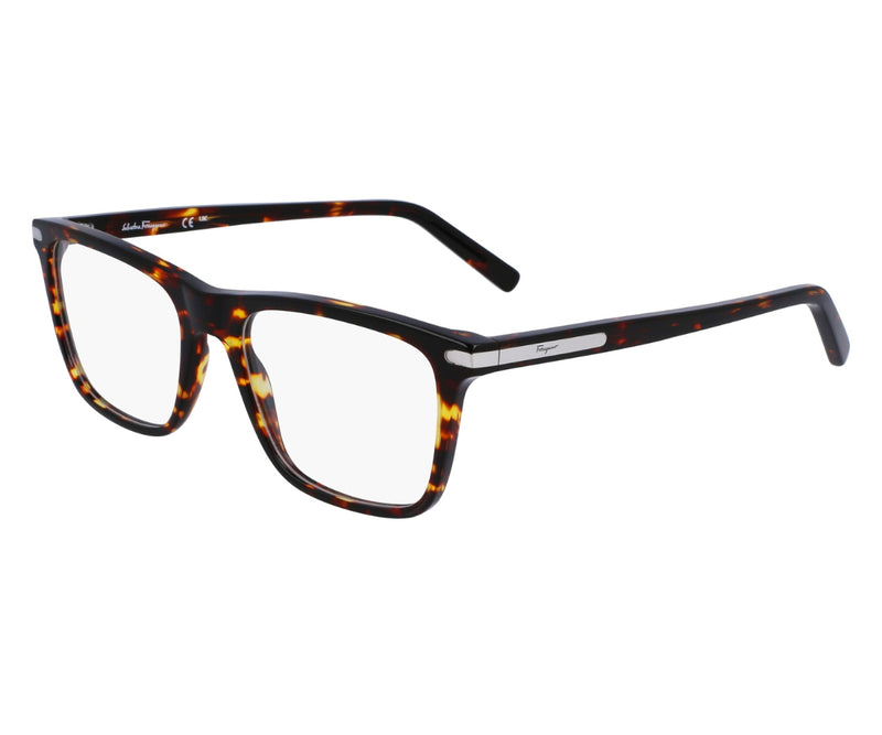 Ferragamo_Glasses_2959_219_55_45