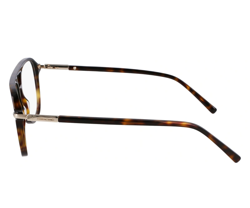 Ferragamo_Glasses_3006_242_56_90