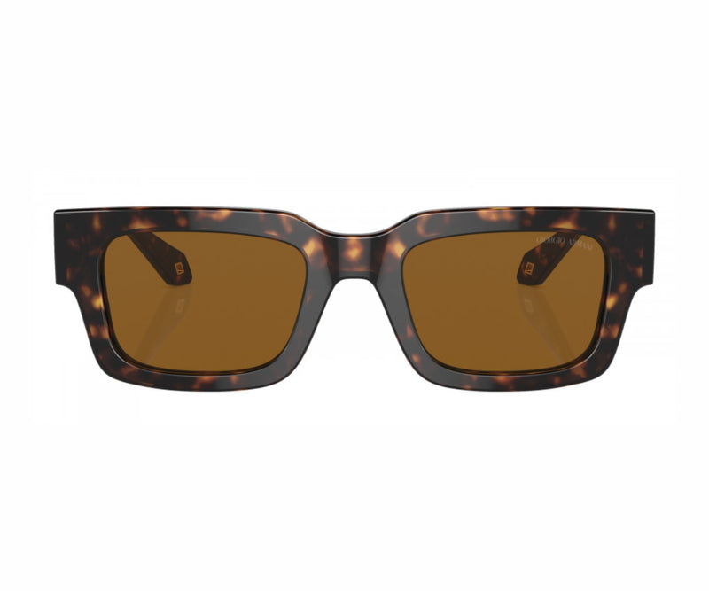 Giorgio Armani_Sunglasses_8184U_6124/33_52_0