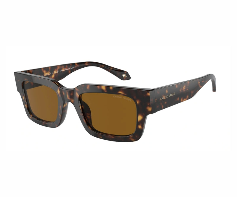 Giorgio Armani_Sunglasses_8184U_6124/33_52_3045