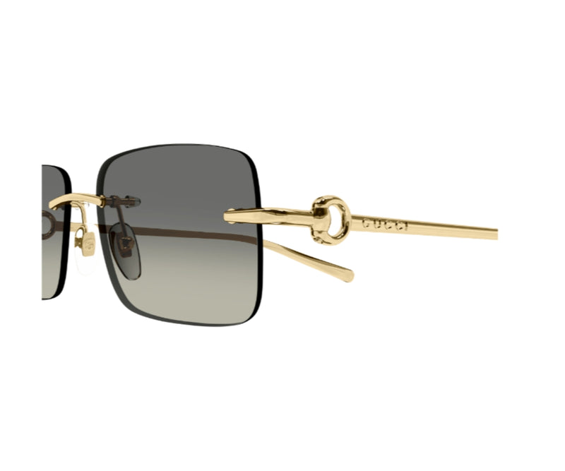 Gucci_Sunglasses_1703S_005_55_close up