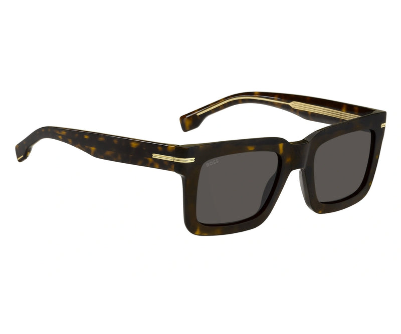 Hugo Boss_Sunglasses_1501/S_086/IR_51_45