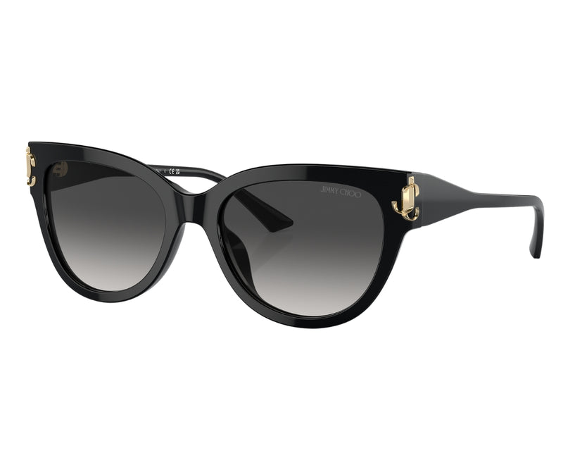 Jimmy Choo_Sunglasses_5018U_5000/8G_54_3045