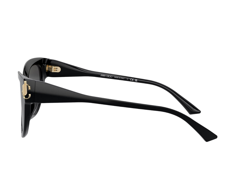 Jimmy Choo_Sunglasses_5018U_5000/8G_54_90
