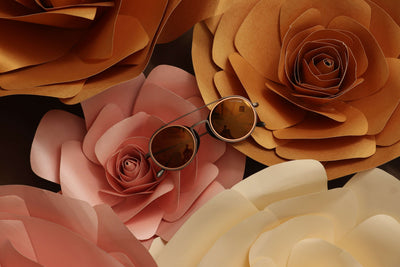GEM Opticians in 2019