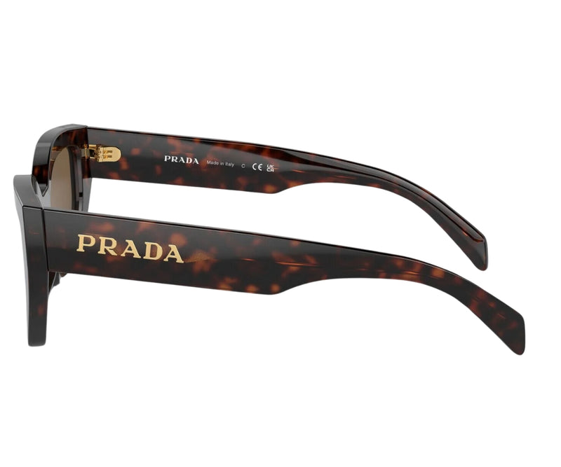 Prada_Sunglasses_A09S_16N/5Y1_53_90